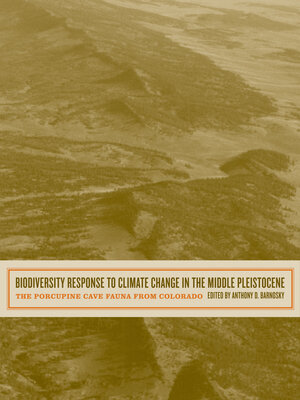 cover image of Biodiversity Response to Climate Change in the Middle Pleistocene